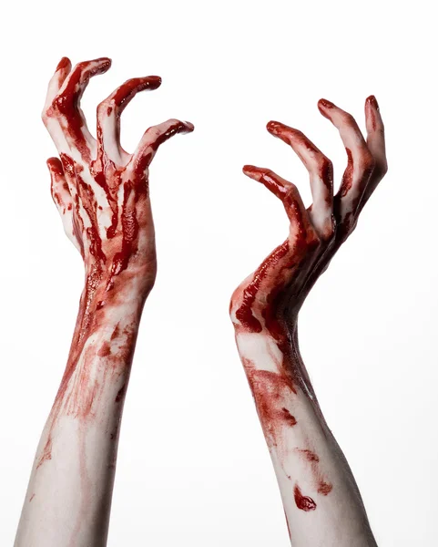 Bloedige halloween thema: bloedige handen moordenaar zombie geïsoleerd op witte achtergrond in studio — Stockfoto
