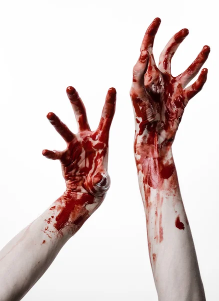 Bloody halloween theme: bloody hands killer zombie isolated on white background in studio — Stock Photo, Image