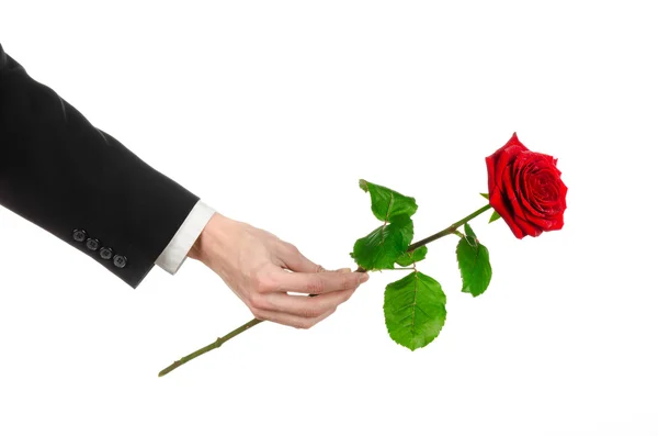 Tema San Valentino e Festa della Donna: la mano dell'uomo in un abito con una rosa rossa isolata su sfondo bianco in studio — Foto Stock