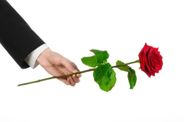 Valentine's Day and Women's Day theme: man's hand in a suit holding a red rose isolated on white background in studio — Stock Photo, Image