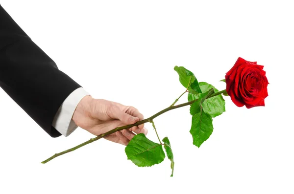 Valentine's Day and Women's Day theme: man's hand in a suit holding a red rose isolated on white background in studio — Stock Photo, Image