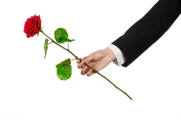 Valentine's Day and Women's Day theme: man's hand in a suit holding a red rose isolated on white background in studio — Stock Photo, Image