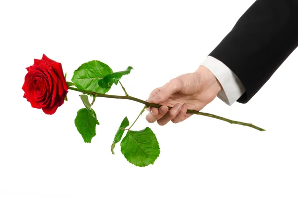 Aftelkalender voor Valentijnsdag en vrouwen dag thema: man's hand in een pak met een rode roos geïsoleerd op een witte achtergrond in studio — Stockfoto