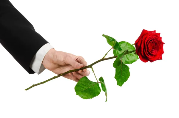 Aftelkalender voor Valentijnsdag en vrouwen dag thema: man's hand in een pak met een rode roos geïsoleerd op een witte achtergrond in studio — Stockfoto