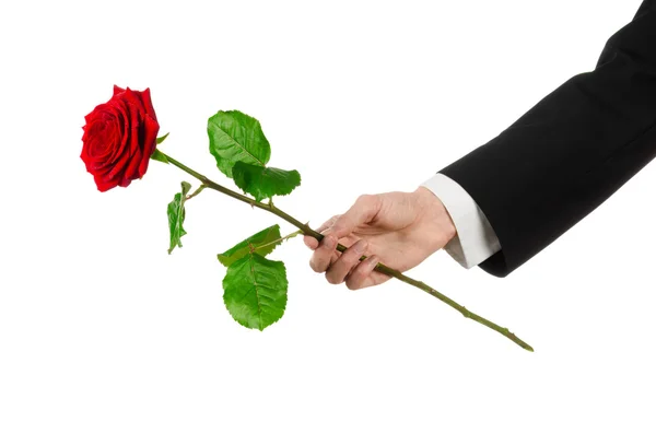 Valentine's Day and Women's Day theme: man's hand in a suit holding a red rose isolated on white background in studio — Stock Photo, Image