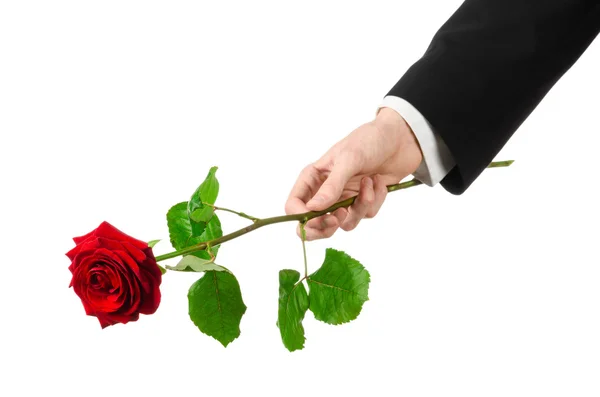 Tema San Valentino e Festa della Donna: la mano dell'uomo in un abito con una rosa rossa isolata su sfondo bianco in studio — Foto Stock