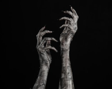 Kara ölüm, yürüyen ölüler zombi Tema, halloween Tema, zombi eller, izole, siyah arka plan, ölüm, mumya el, el, el eller şeytanın siyah çivi, canavar eller