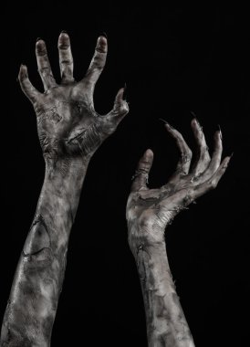 Kara ölüm, yürüyen ölüler zombi Tema, halloween Tema, zombi eller, izole, siyah arka plan, ölüm, mumya el, el, el eller şeytanın siyah çivi, canavar eller