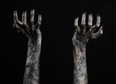 Kara ölüm, yürüyen ölüler zombi Tema, halloween Tema, zombi eller, izole, siyah arka plan, ölüm, mumya el, el, el eller şeytanın siyah çivi, canavar eller