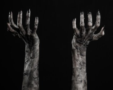 Kara ölüm, yürüyen ölüler zombi Tema, halloween Tema, zombi eller, izole, siyah arka plan, ölüm, mumya el, el, el eller şeytanın siyah çivi, canavar eller
