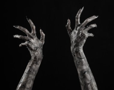 Kara ölüm, yürüyen ölüler zombi Tema, halloween Tema, zombi eller, izole, siyah arka plan, ölüm, mumya el, el, el eller şeytanın siyah çivi, canavar eller