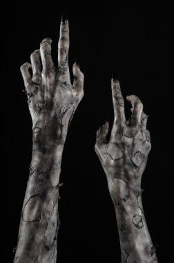 Kara ölüm, yürüyen ölüler zombi Tema, halloween Tema, zombi eller, izole, siyah arka plan, ölüm, mumya el, el, el eller şeytanın siyah çivi, canavar eller