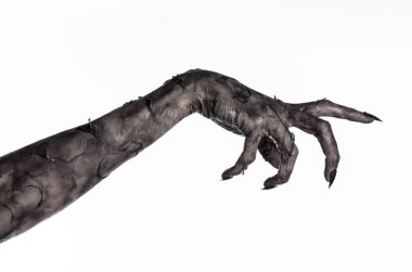 Kara ölüm, yürüyen ölüler zombi Tema, halloween Tema, zombi eller, izole, beyaz arka plan, ölüm, mumya el, el, el eller şeytanın siyah çivi, canavar eller