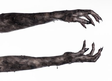 Kara ölüm, yürüyen ölüler zombi Tema, halloween Tema, zombi eller, izole, beyaz arka plan, ölüm, mumya el, el, el eller şeytanın siyah çivi, canavar eller