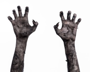 Kara ölüm, yürüyen ölüler zombi Tema, halloween Tema, zombi eller, izole, beyaz arka plan, ölüm, mumya el, el, el eller şeytanın siyah çivi, canavar eller