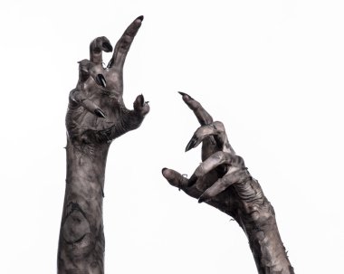 Kara ölüm, yürüyen ölüler zombi Tema, halloween Tema, zombi eller, izole, beyaz arka plan, ölüm, mumya el, el, el eller şeytanın siyah çivi, canavar eller