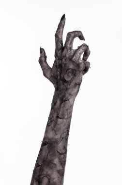 Kara ölüm, yürüyen ölüler zombi Tema, halloween Tema, zombi eller, izole, beyaz arka plan, ölüm, mumya el, el, el eller şeytanın siyah çivi, canavar eller
