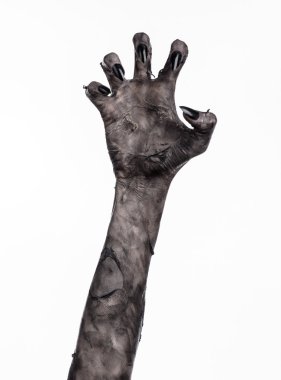 Kara ölüm, yürüyen ölüler zombi Tema, halloween Tema, zombi eller, izole, beyaz arka plan, ölüm, mumya el, el, el eller şeytanın siyah çivi, canavar eller