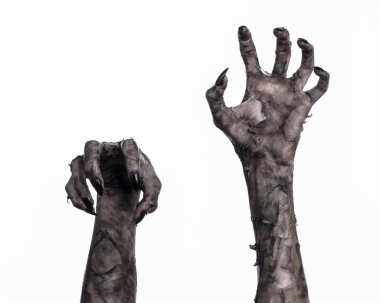 Kara ölüm, yürüyen ölüler zombi Tema, halloween Tema, zombi eller, izole, beyaz arka plan, ölüm, mumya el, el, el eller şeytanın siyah çivi, canavar eller