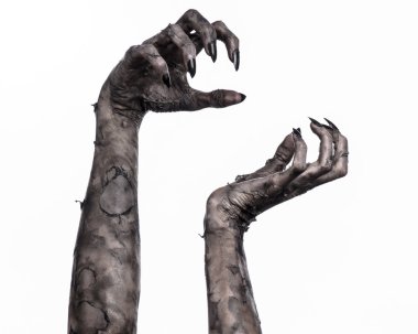 Kara ölüm, yürüyen ölüler zombi Tema, halloween Tema, zombi eller, izole, beyaz arka plan, ölüm, mumya el, el, el eller şeytanın siyah çivi, canavar eller