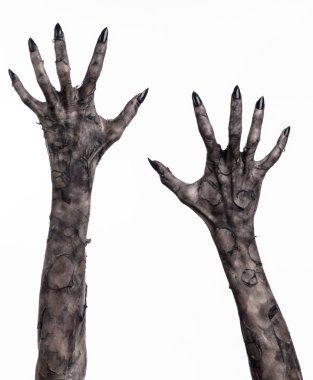 Kara ölüm, yürüyen ölüler zombi Tema, halloween Tema, zombi eller, izole, beyaz arka plan, ölüm, mumya el, el, el eller şeytanın siyah çivi, canavar eller