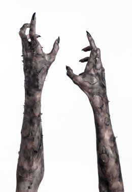 Kara ölüm, yürüyen ölüler zombi Tema, halloween Tema, zombi eller, izole, beyaz arka plan, ölüm, mumya el, el, el eller şeytanın siyah çivi, canavar eller