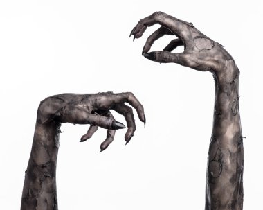 Kara ölüm, yürüyen ölüler zombi Tema, halloween Tema, zombi eller, izole, beyaz arka plan, ölüm, mumya el, el, el eller şeytanın siyah çivi, canavar eller