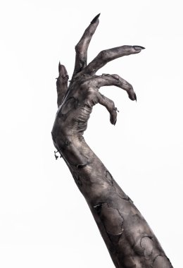 Kara ölüm, yürüyen ölüler zombi Tema, halloween Tema, zombi eller, izole, beyaz arka plan, ölüm, mumya el, el, el eller şeytanın siyah çivi, canavar eller