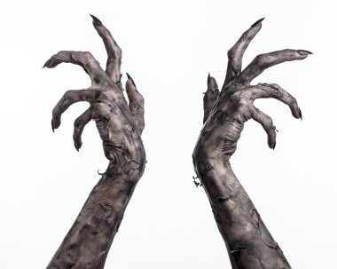 Kara ölüm, yürüyen ölüler zombi Tema, halloween Tema, zombi eller, izole, beyaz arka plan, ölüm, mumya el, el, el eller şeytanın siyah çivi, canavar eller