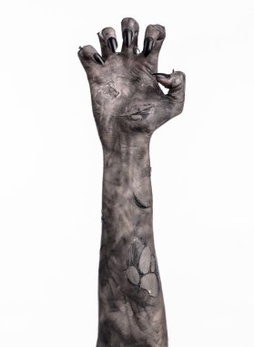 Kara ölüm, yürüyen ölüler zombi Tema, halloween Tema, zombi eller, izole, beyaz arka plan, ölüm, mumya el, el, el eller şeytanın siyah çivi, canavar eller