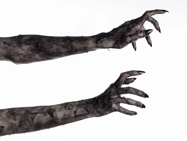 Black hand of death, the walking dead, zombie theme, halloween theme, zombie hands, white background, isolated, hand of death, mummy hands, the hands of the devil, black nails, hands monster — Stock Photo, Image