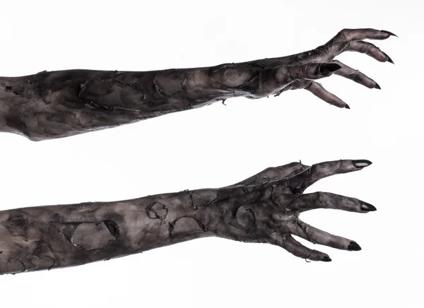 Black hand of death, the walking dead, zombie theme, halloween theme, zombie hands, white background, isolated, hand of death, mummy hands, the hands of the devil, black nails, hands monster — Stock Photo, Image