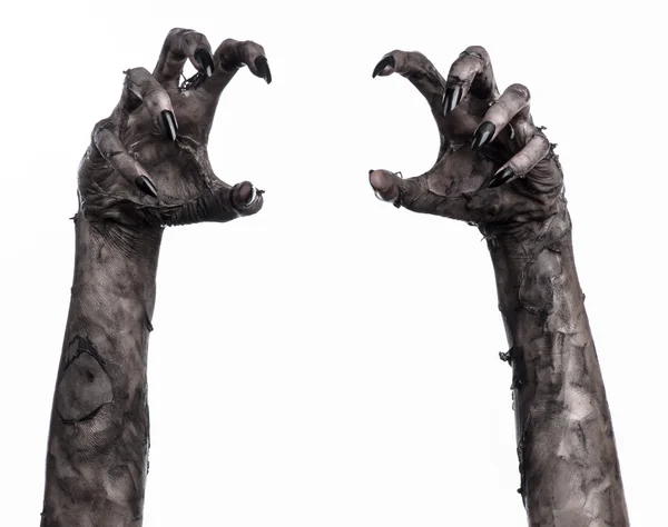 Kara ölüm, yürüyen ölüler zombi Tema, halloween Tema, zombi eller, izole, beyaz arka plan, ölüm, mumya el, el, el eller şeytanın siyah çivi, canavar eller