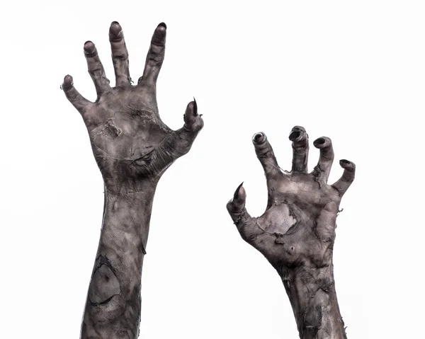 Black hand of death, the walking dead, zombie theme, halloween theme, zombie hands, white background, isolated, hand of death, mummy hands, the hands of the devil, black nails, hands monster — Stock Photo, Image