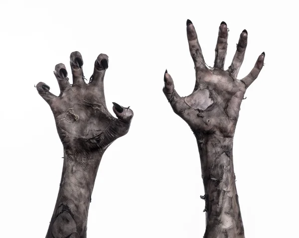 Black hand of death, the walking dead, zombie theme, halloween theme, zombie hands, white background, isolated, hand of death, mummy hands, the hands of the devil, black nails, hands monster — Stock Photo, Image