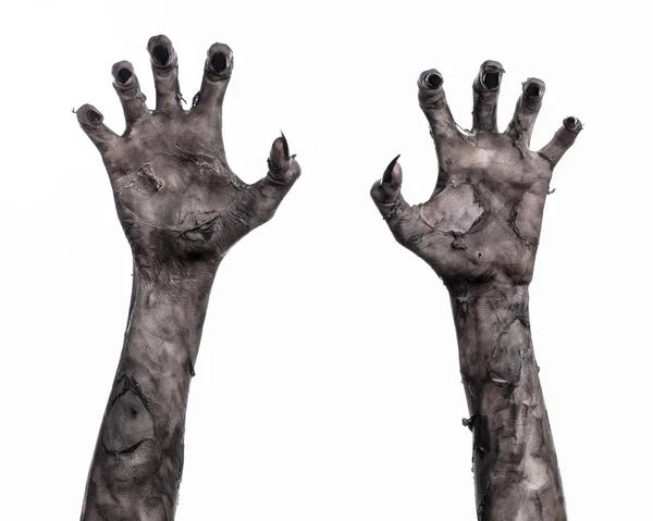 Black hand of death, the walking dead, zombie theme, halloween theme, zombie hands, white background, isolated, hand of death, mummy hands, the hands of the devil, black nails, hands monster — Stock Photo, Image