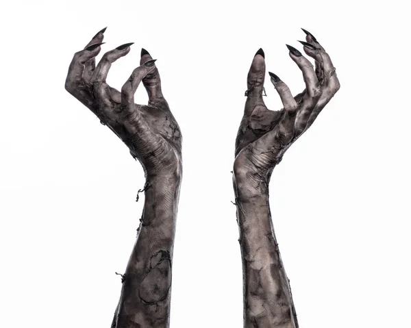 Kara ölüm, yürüyen ölüler zombi Tema, halloween Tema, zombi eller, izole, beyaz arka plan, ölüm, mumya el, el, el eller şeytanın siyah çivi, canavar eller