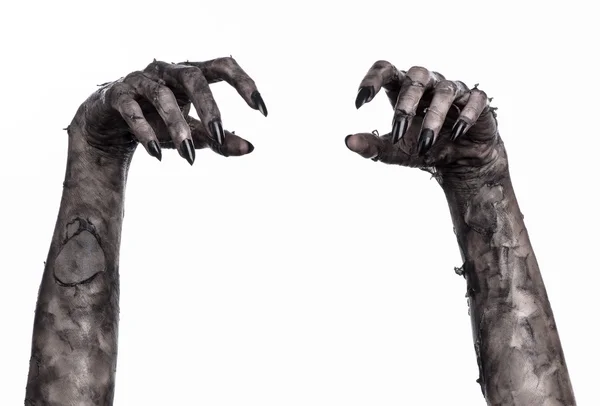Kara ölüm, yürüyen ölüler zombi Tema, halloween Tema, zombi eller, izole, beyaz arka plan, ölüm, mumya el, el, el eller şeytanın siyah çivi, canavar eller