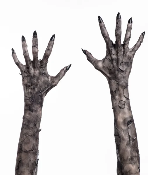 Black hand of death, the walking dead, zombie theme, halloween theme, zombie hands, white background, isolated, hand of death, mummy hands, the hands of the devil, black nails, hands monster — Stock Photo, Image