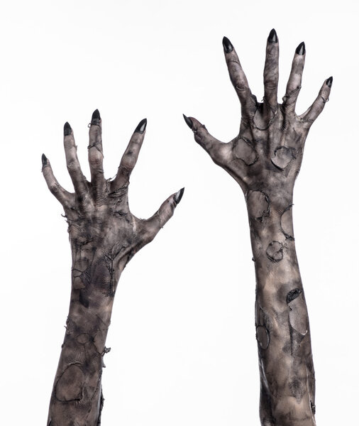 black hand of death, the walking dead, zombie theme, halloween theme, zombie hands, white background, isolated, hand of death, mummy hands, the hands of the devil, black nails, hands monster