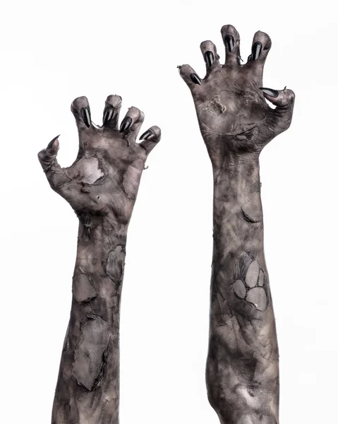 Schwarze Hand des Todes, die wandelnden Toten, Zombie-Thema, Halloween-Thema, Zombie-Hände, weißer Hintergrund, isoliert, Hand des Todes, Mumienhände, die Hände des Teufels, schwarze Nägel, Hände Monster — Stockfoto