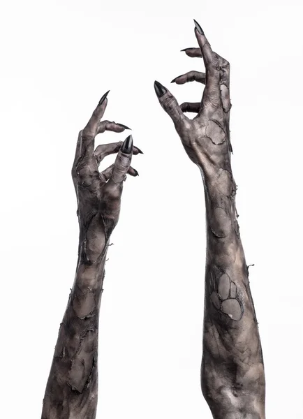 Чорна рука смерті, ходячі мерці, тема зомбі, тема Хеллоуїна, руки зомбі, білий фон, ізольовані, рука смерті, руки мумії, руки диявола, чорні цвяхи, руки монстра — стокове фото