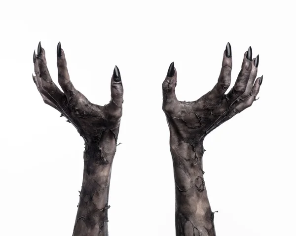 Black hand of death, the walking dead, zombie theme, halloween theme, zombie hands, white background, isolated, hand of death, mummy hands, the hands of the devil, black nails, hands monster — Stock Photo, Image