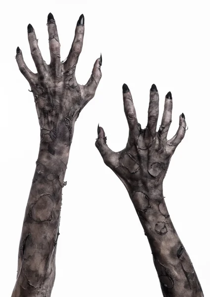 Черная рука смерти, ходячие мертвецы, тема зомби, Хэллоуин тема, руки зомби, белый фон, изолированные, рука смерти, мумия руки, руки дьявола, черные ногти, руки монстра — стоковое фото