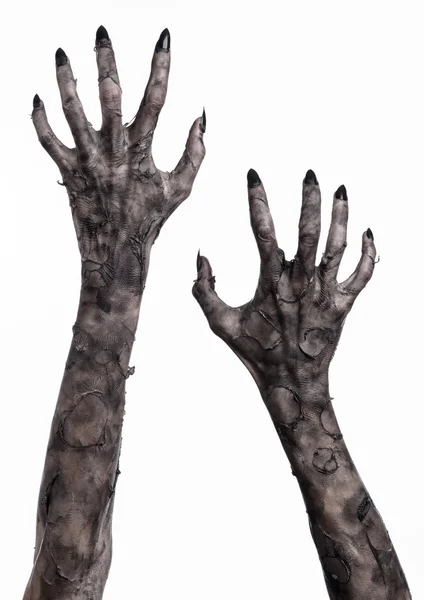 Black hand of death, the walking dead, zombie theme, halloween theme, zombie hands, white background, isolated, hand of death, mummy hands, the hands of the devil, black nails, hands monster — Stock Photo, Image