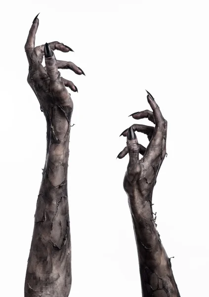 ウォーキング ・ デッド、ゾンビのテーマ、ハロウィーンのテーマ、ゾンビの手が、白い背景に、分離、死、ミイラの手の手の死の黒い手黒悪魔の手の爪、モンスターを手 — ストック写真