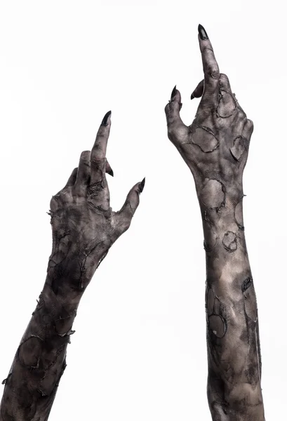 Black hand of death, the walking dead, zombie theme, halloween theme, zombie hands, white background, isolated, hand of death, mummy hands, the hands of the devil, black nails, hands monster — Stock Photo, Image