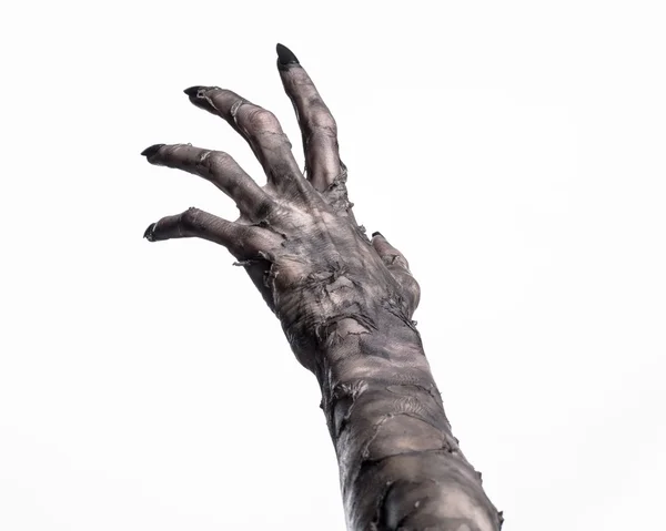 Mano nera della morte, i morti viventi, tema zombie, tema Halloween, mani zombie, sfondo bianco, isolato, mano della morte, mani mummia, le mani del diavolo, chiodi neri, mani mostro — Foto Stock