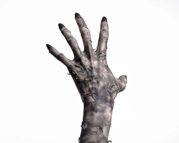 Black hand of death, the walking dead, zombie theme, halloween theme, zombie hands, white background, isolated, hand of death, mummy hands, the hands of the devil, black nails, hands monster — Stock Photo, Image