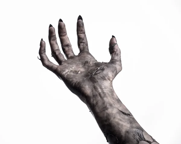Black hand of death, the walking dead, zombie theme, halloween theme, zombie hands, white background, isolated, hand of death, mummy hands, the hands of the devil, black nails, hands monster — Stock Photo, Image